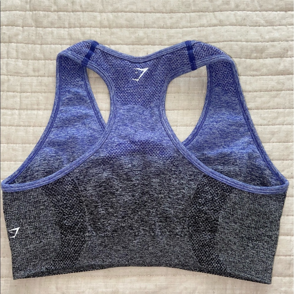 Gymshark ombré seamless sports bra
